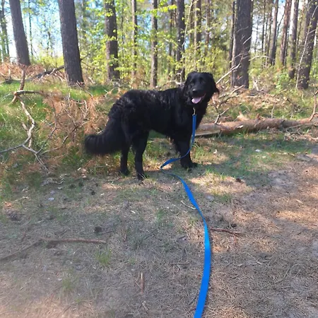 Przystanek Kaszuby Dom wakacyjny